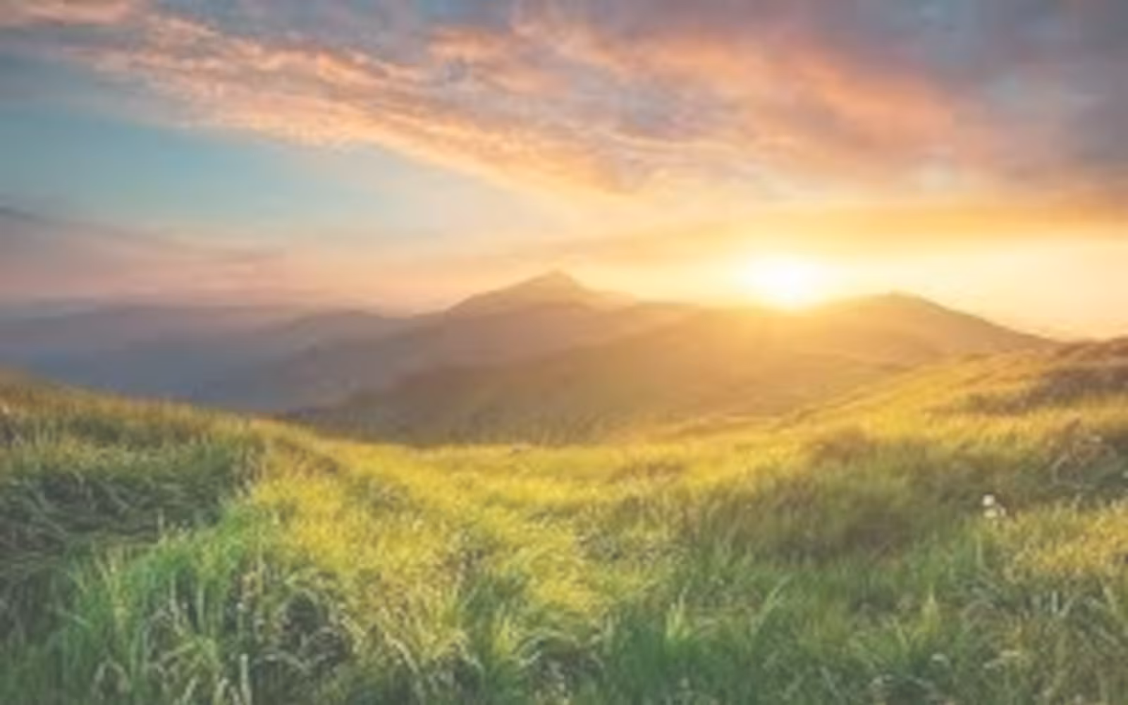 image-alt